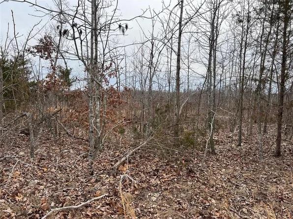 3 Highway 17, Success, MO 65570