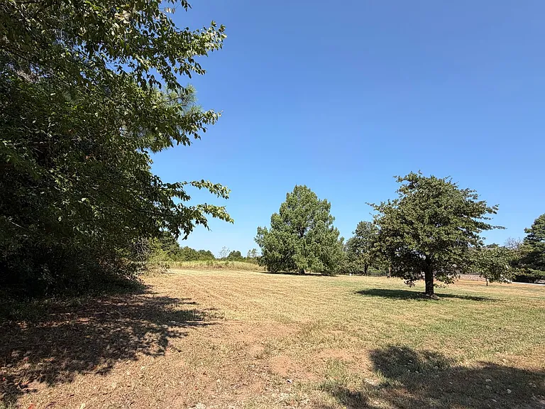 16409 April Dr — Photo 6