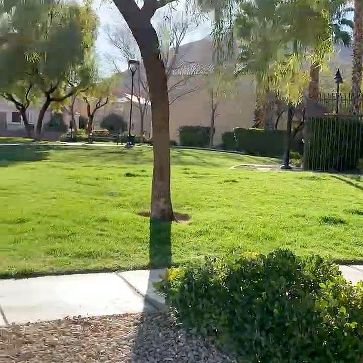 1st image of 10412 Coyote Cub Ave
