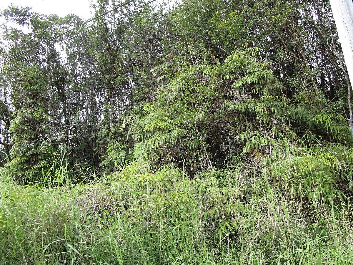 15 Waikiki St, Mountain View, HI 96771 Zillow