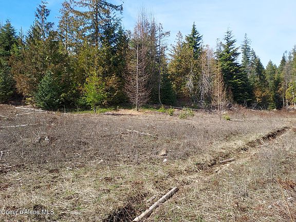 5th image of 2244 Whittum Rd