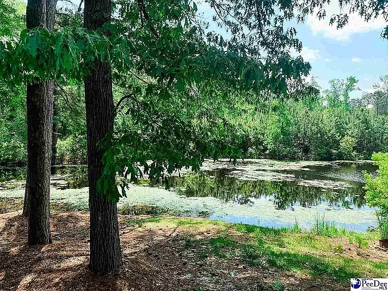 2 bed, 950 sqft, $1,150 — Photo 2