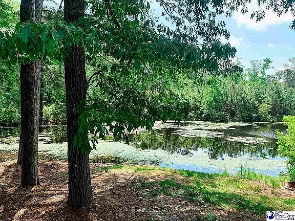 2nd image of 303 Gator Lake Ct