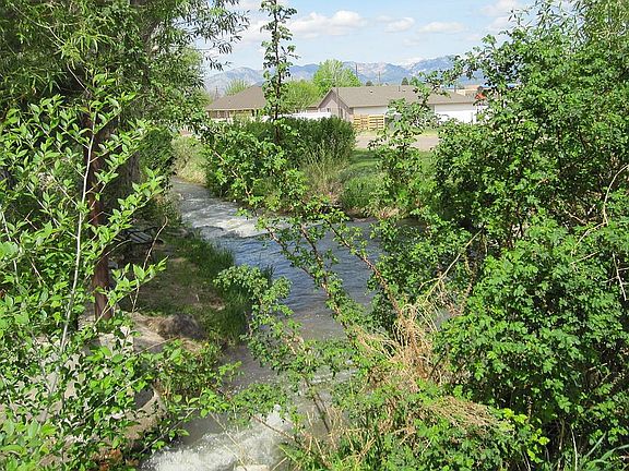 CREEK RUNS ACROSS NE CORNER 