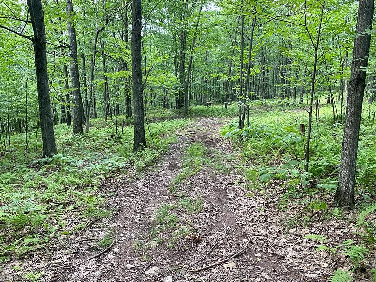 427 Summit Woods Rd — Photo 55