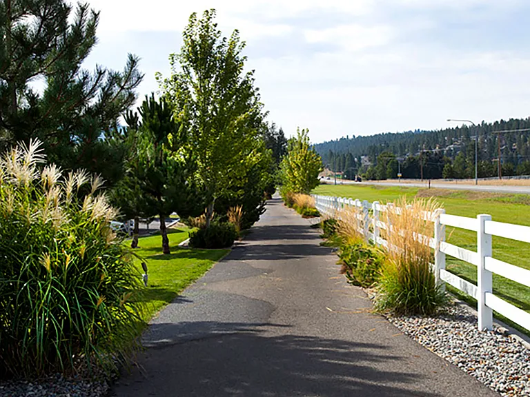 Trailhead and Hiking Paths