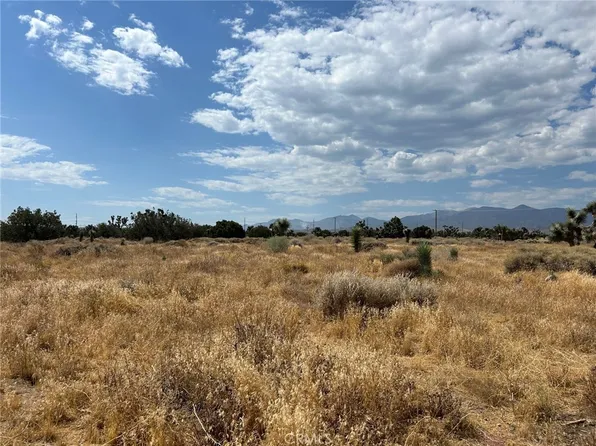 0 White Fox Trl, Phelan, CA 92371