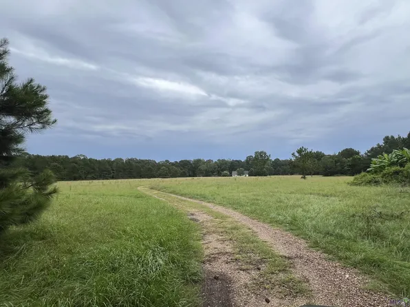 10100 Deerhaven Ln, Saint Francisville, LA 70775