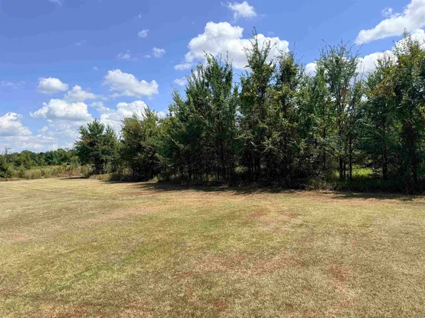 91 Burlison Ln, Humphrey, AR 72073