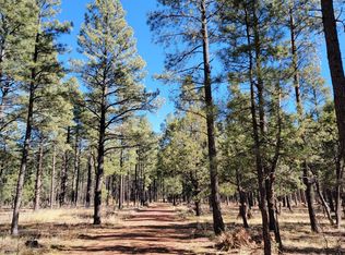 9333 Dawnridge Rd, Lakeside, AZ 85929