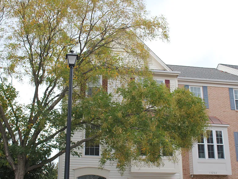13270 Coppermill Dr — Photo 6