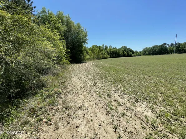 0 Peanut Rd, Graceville, FL 32440