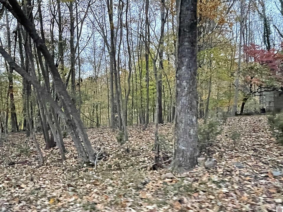 2nd image of LOT 65 Barkley Cir