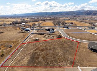 1928 Sean Ct, Fruita, CO 81521