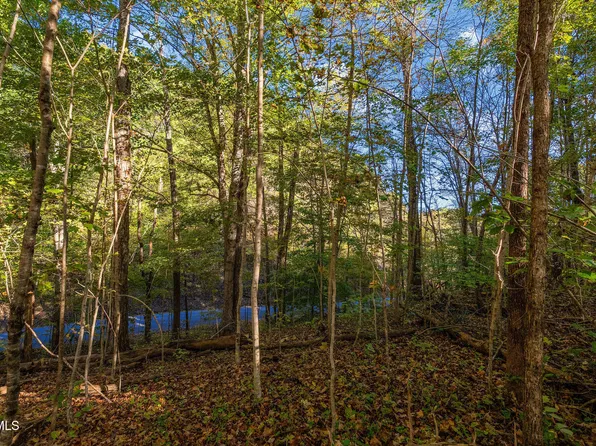 Light Hollow Rd, Rogersville, TN 37857