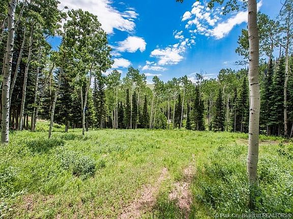 5th image of 193 White Pine Canyon Rd #193