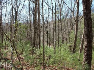 0 000 Peter Knob Rd #1, Blue Ridge, GA 30513