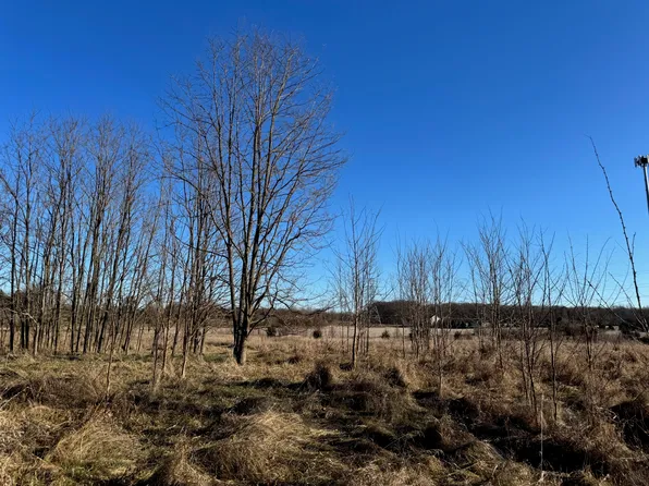 20863 N Territorial Rd, Chelsea, MI 48118