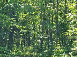 17 County Rd, Mizpah, MN 56660