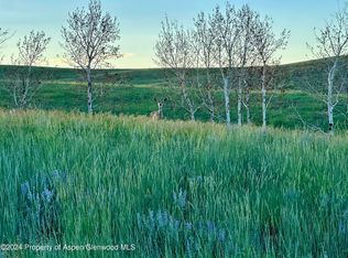 Tbd County Road 5, Craig, CO 81625