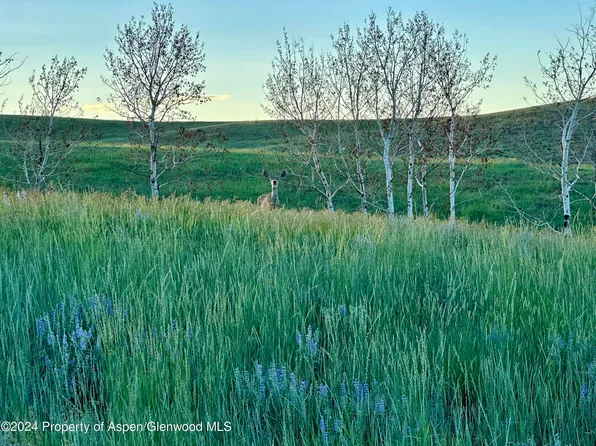 Tbd County Road 5, Craig, CO 81625