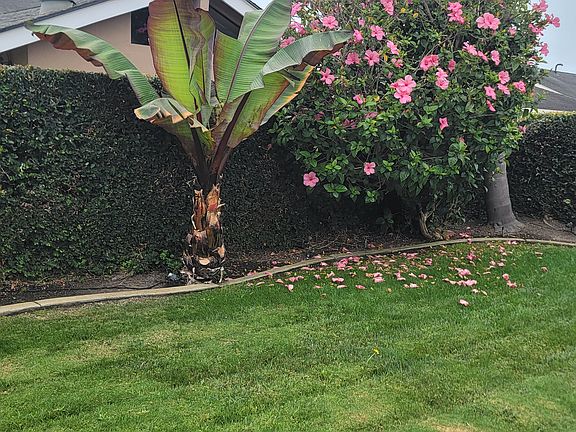 4th image of 8652 Sable Dr