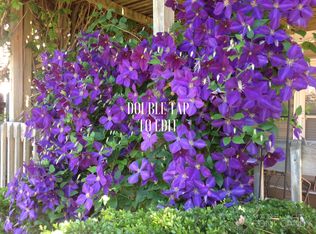 1640 W Highland St, Springfield, MO 65807