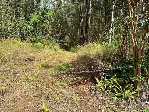 46-3970 Kahana Dr Lot 20, Honokaa, HI 96727