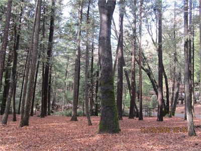 0 Showdown Cir, Magalia, CA, 95954