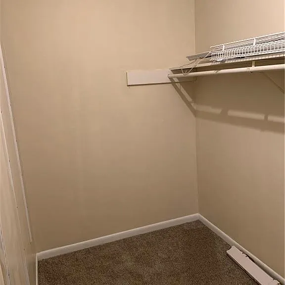 242 Lamplighter Cir — Photo 4