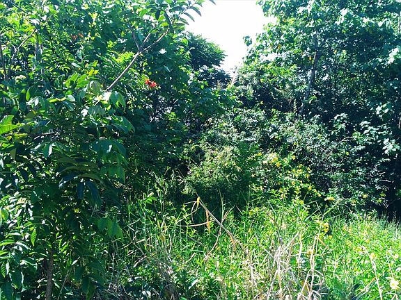 3rd image of 15-2680 Oopu St Lot 4