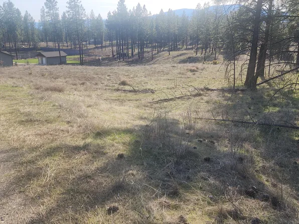 1315 Inez Way, Kettle Falls, WA 99141