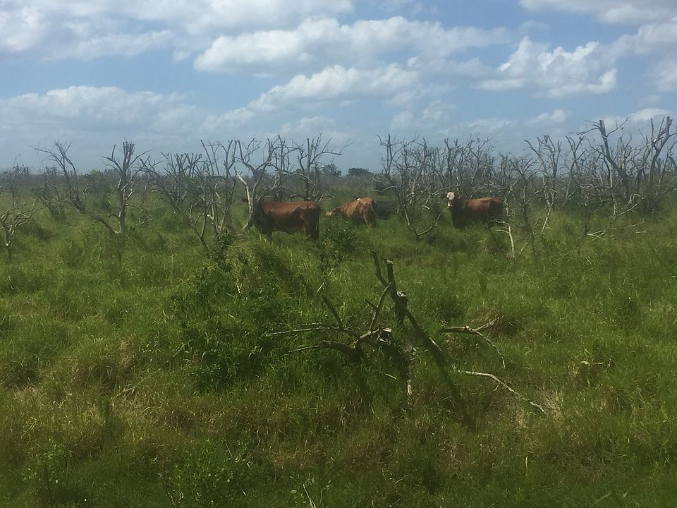 1st image of 1000 Lonesome Island Road
