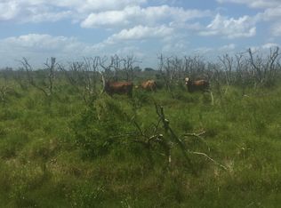 1000 Lonesome Island Road, LAKE PLACID, FL 33852