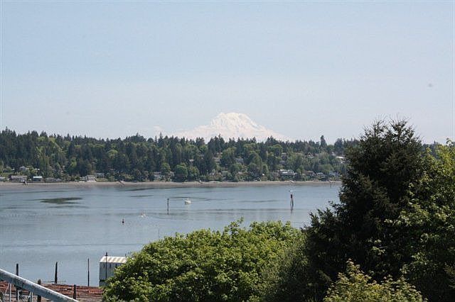 View-Mt.Rainier Budd Inlet