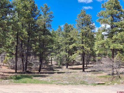 80 Sandstone Court, Pagosa Springs, CO, 81147