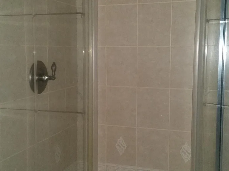 Master Bath Shower