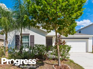 10262 Strawberry Tetra Dr, Riverview, FL 33578