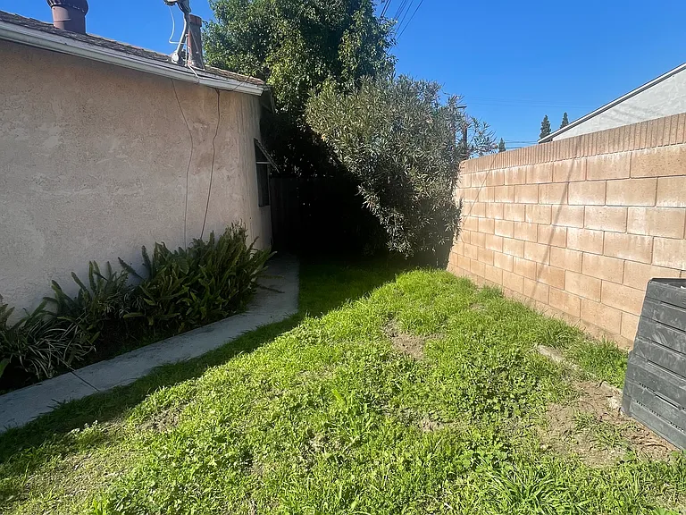 Devenir Ave — Photo 8