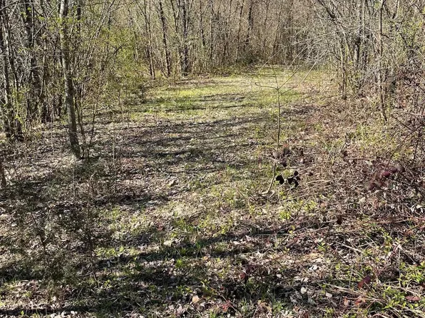 905 Dry Run Cir, Batesville, AR 72501