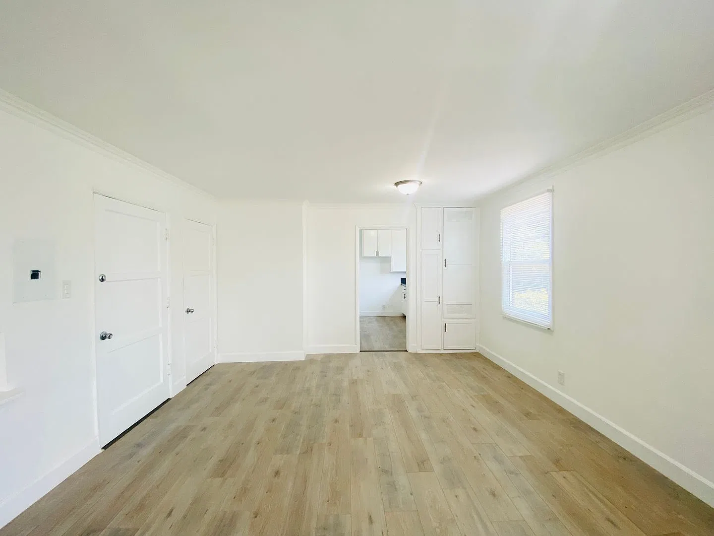 1645VIS — Photo 4