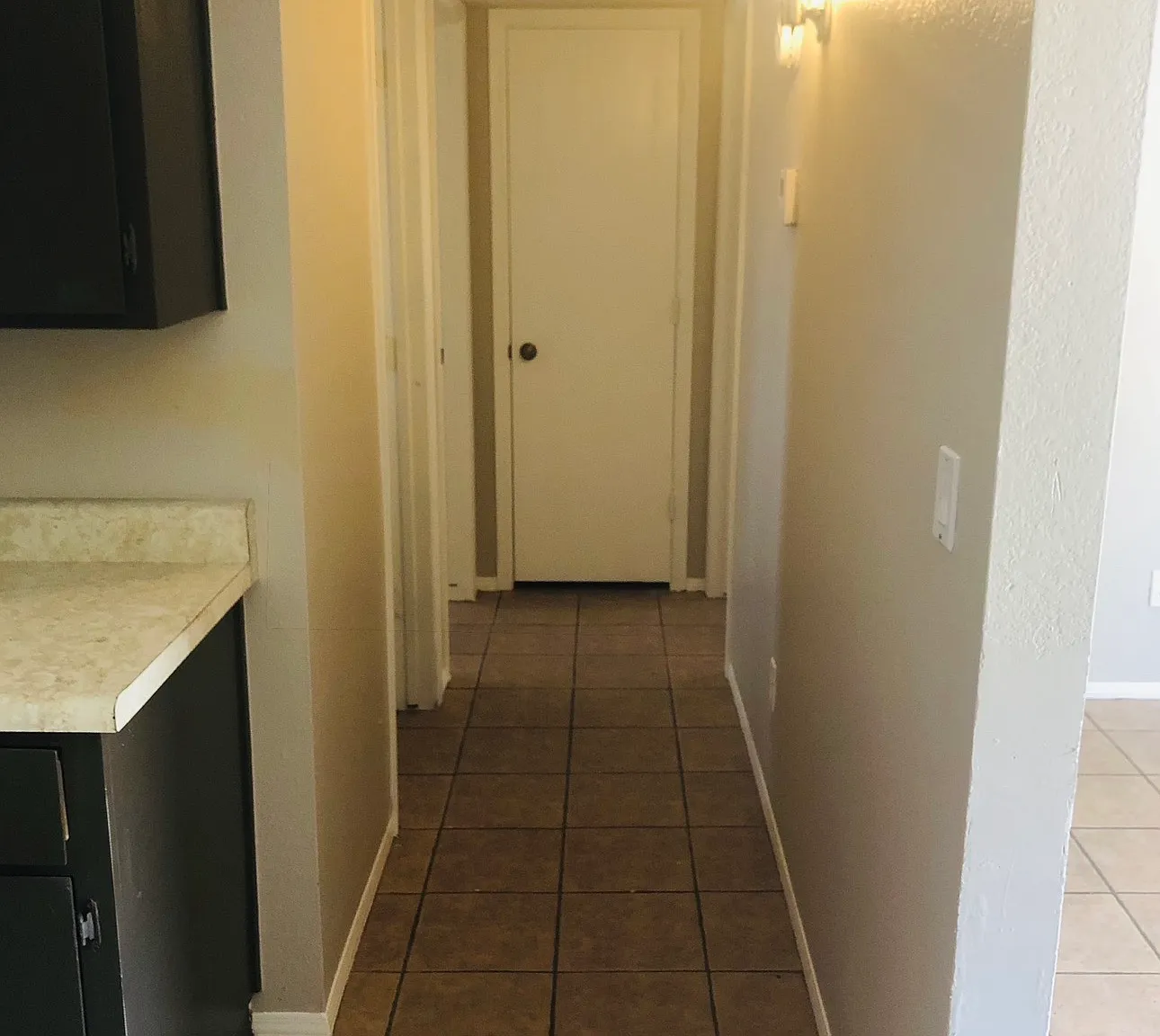 2 bed, 750 sqft, $1,195 — Photo 3