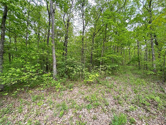 2nd image of 0 Bear Creek Rd