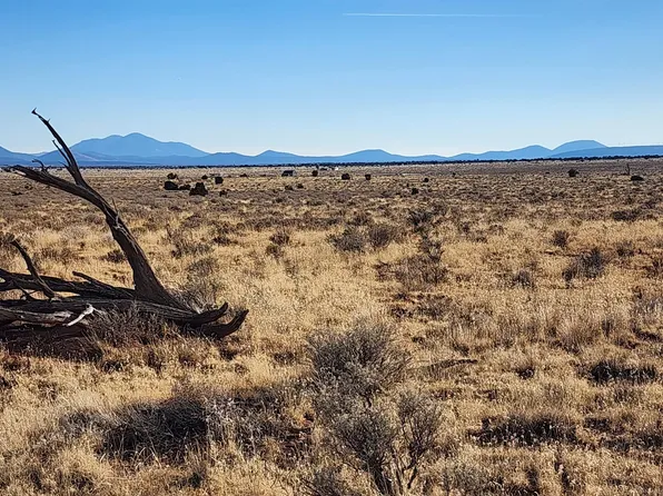 932 E Princeton Ave, Williams, AZ 86046