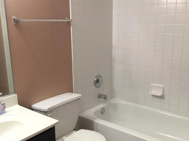 Hall Bathroom
