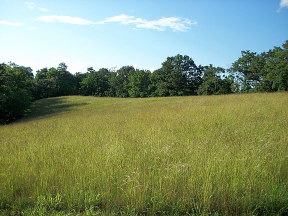 Field in front of house