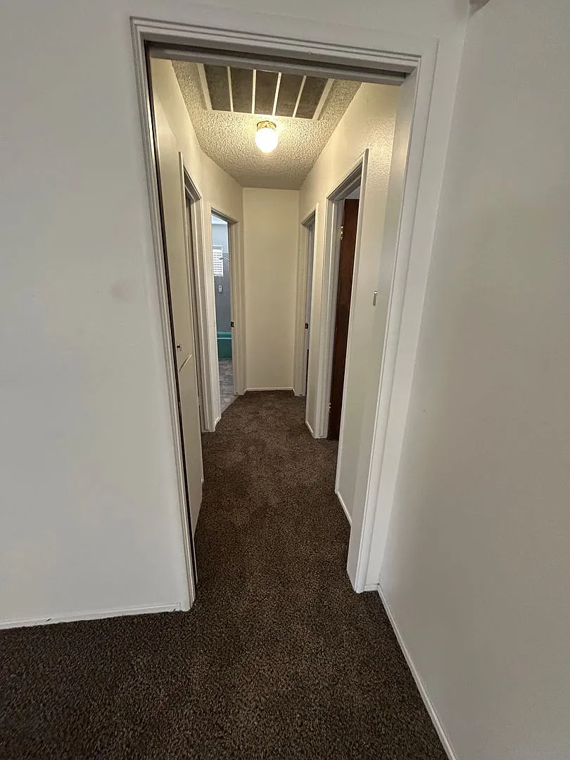 Upcoming 3 Bedroom 2 Bathroom! — Photo 4