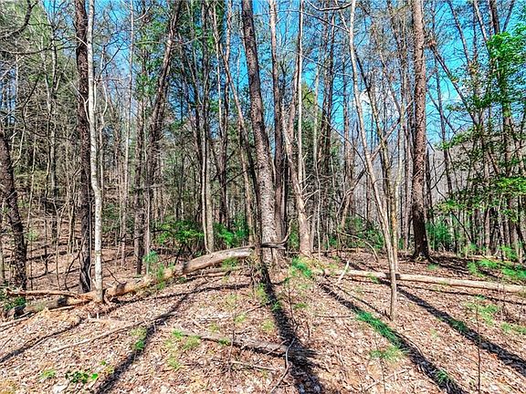 3rd image of LOT 694 Satsuma Ct