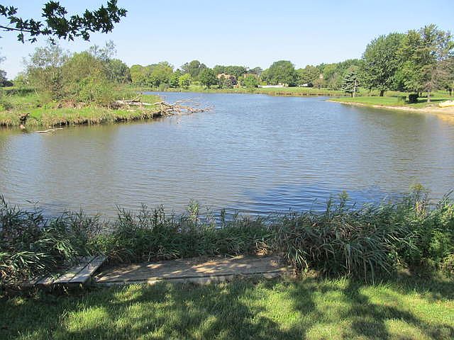 1st image of 33711 N Creek Ct