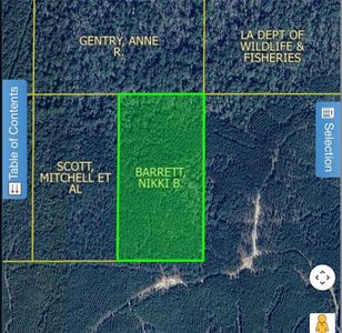 0 Camp Hardtner Rd, Pollock, LA, 71467